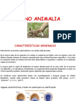 Reino Animalia