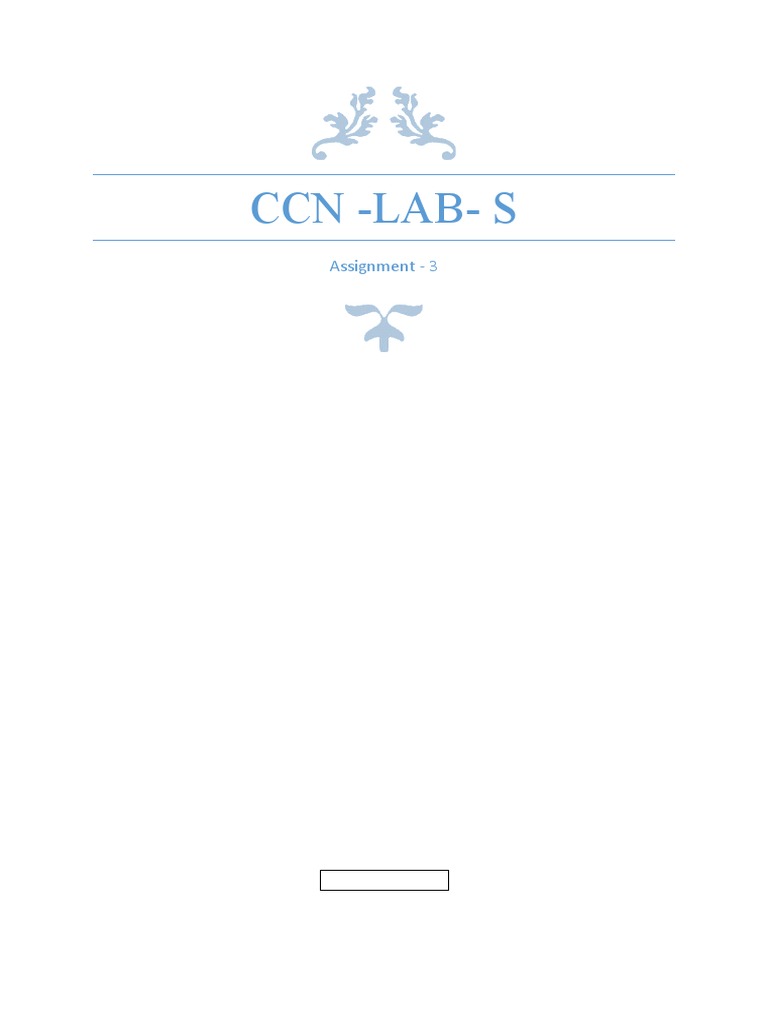 CCN Lab Assignment 3 Overview | PDF