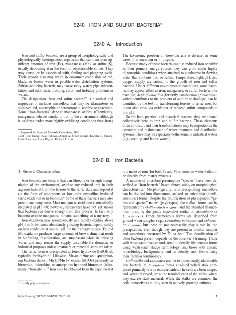 9240 Iron and Sulfur Bacteria PDF | PDF