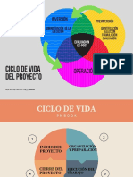 Cipas 5 PDF