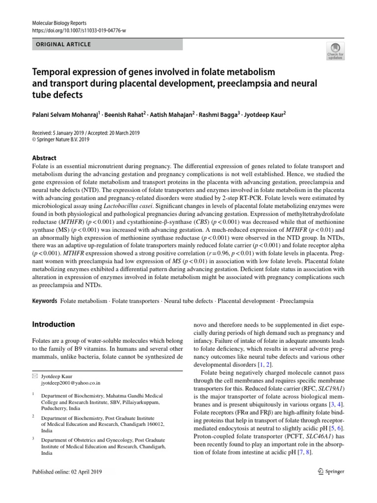 Temporal Expression of Genes Involved in Folate Metabolism and ...