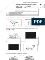 PRUEBA DE SINTESIS CIENCIAS NATURALES 1° Básico I Semestre