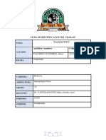 Trabajo Mongrafico de Antropologia (Paleolitico) PDF