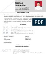 93 Curriculum Vitae en Blanco