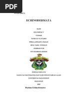 Download MAKALAH ECHINODERMATA KLP VI by Jumriah Nur SN48487534 doc pdf