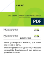 Neisseria-Haemophilus 2020