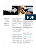 ClinAnesVet Revista Clínica de Anestesia Veterinaria 14-26 PDF