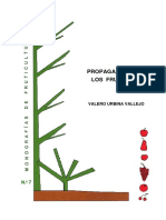 Propagación de Frutales.pdf