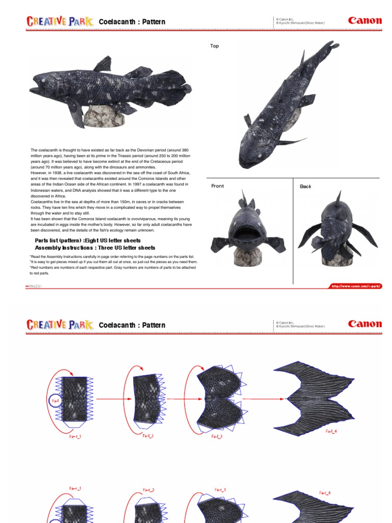 Coelacanth: Pattern: Assembly Instructions: Three US Letter Sheets ...