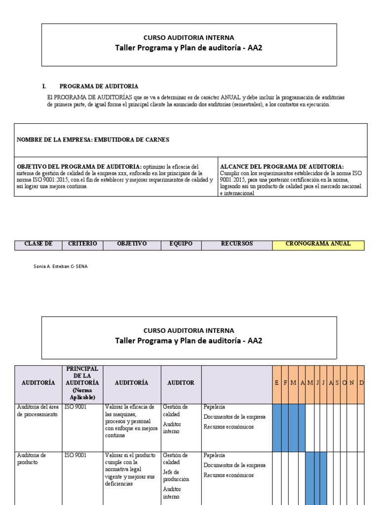 Programa y Plan de Auditoría ISO 9001 | PDF | Auditoría | Contralor