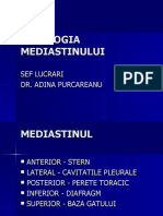 Mediastin Iunie 2019 Corectat