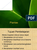 Plantae