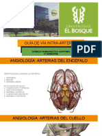 GUÍA DE VÍA INTRA-ARTERIAL.pptx