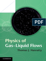 Physics of Gas-Liquid Flow