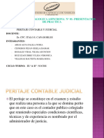 Actividad Asíncrona 1 - Peritaje Contable PDF