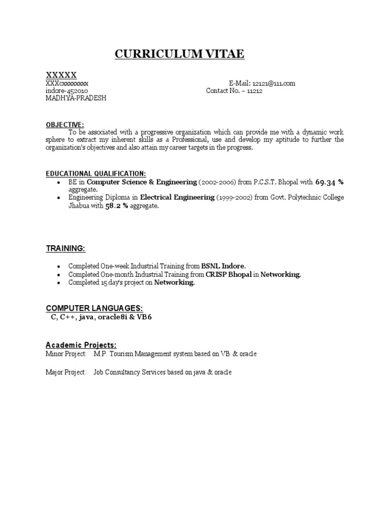 Computer Science & IT Professional CV | PDF | Computer Programming ...