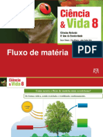 14 - Ciclos de Matéria Nos Ecossistemas PDF