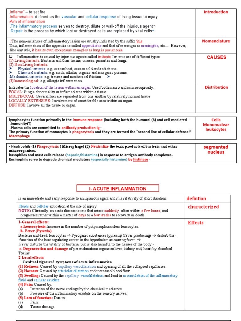 Understanding Inflammation: Causes and Effects | PDF | Inflammation ...