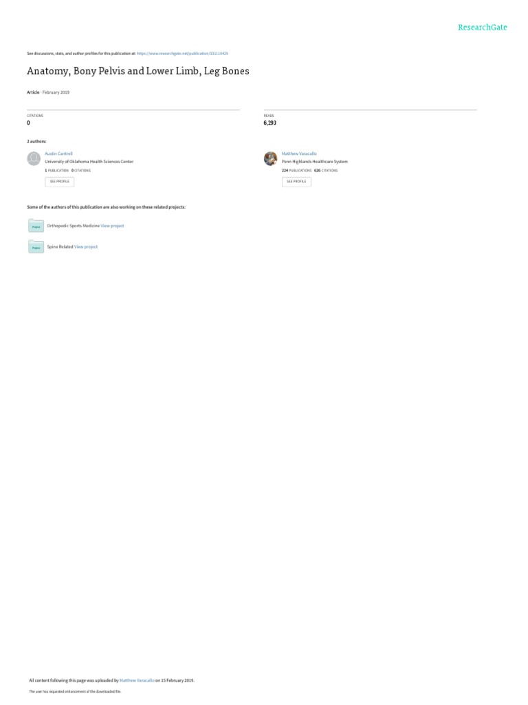 Anatomy visual data 8