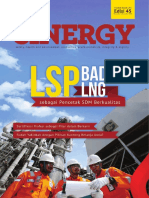 Badak LNG Sinergy - 45 PDF