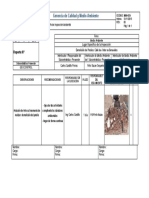 1anexo 3 Reportes de Inspecciones Ambientales (3) Ultimo2