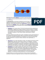 Lectura Sesion 6 PDF