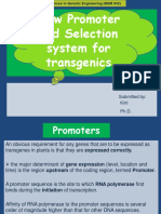 New Promoter and Selection System For Transgenics: Submitted By: Kirti PH.D