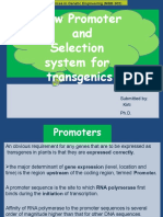 New Promoter and Selection System For Transgenics: Submitted By: Kirti PH.D