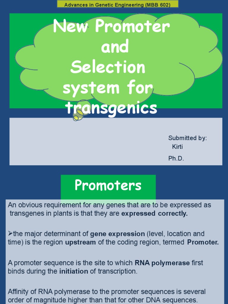 New Promoter Systems for Transgenic Plants | PDF | Promoter (Genetics ...