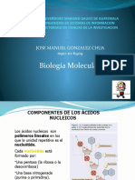 Biologia Molecular.pptx