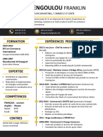 CV - Engoulou 01 PDF