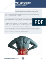 The Back Pain Blueprint: Phase 1 - High Irritability
