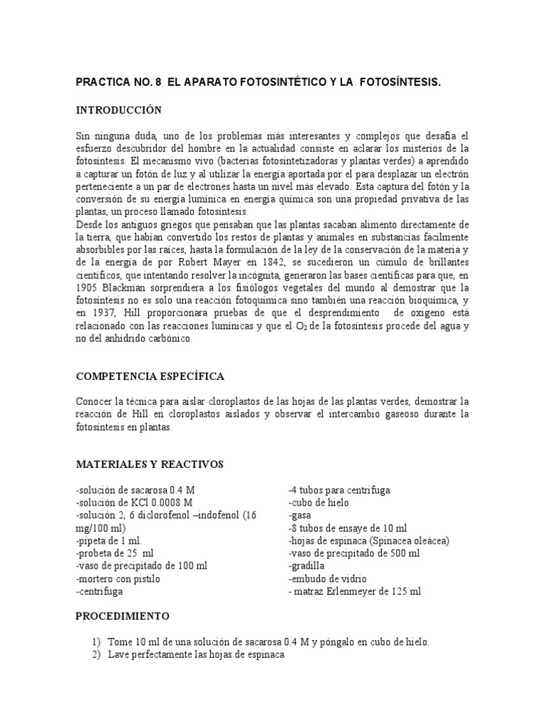 Practica No 8 Fotosintesis | PDF | Fotosíntesis | Plantas