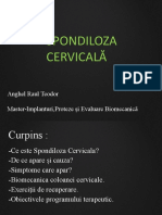Spondiloza Cervicala (Autosaved)