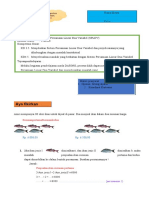 SPLDV Materi