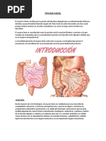 Ángulo de Treitz: Anatomía y Ubicación | PDF