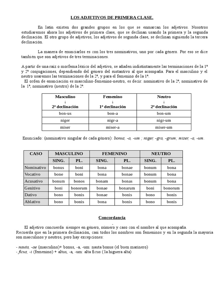 Adjetivos de La Primera Clase Con Ejercicios | PDF | Género gramatical |  Adjetivo