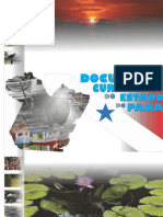 PARÁ Documento Curricular PDF