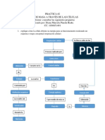 PRACTICA 2-Preinforme PDF