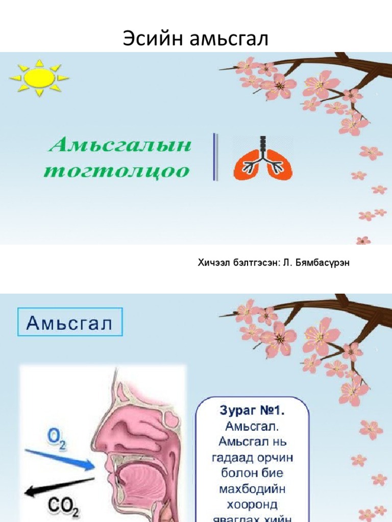 Эсийн амьсгал 10 -р анги цахим хичээл | PDF
