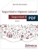 Seguridad II 2018.compressed.pdf