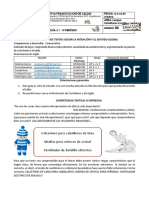 Guía (10) Castellano e Inglés