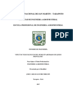 Jose Carlos Sanchez Irigoin FIAI PDF