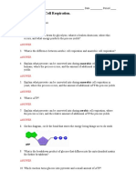 MYP Exercises. Cell Respiration.: Answer