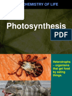 The Chemistry of Life: Photosynthesis