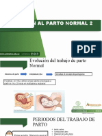 Atención Del Parto Normal 2 Corregido