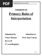 Primary Rules of Interpretation: Assignment On