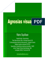 Agnosias Visuales PDF