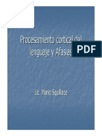 Lenguaje y Afasia PDF