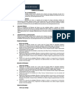 Término de Referencia N°02-2020-DGSC- UNICO.docx